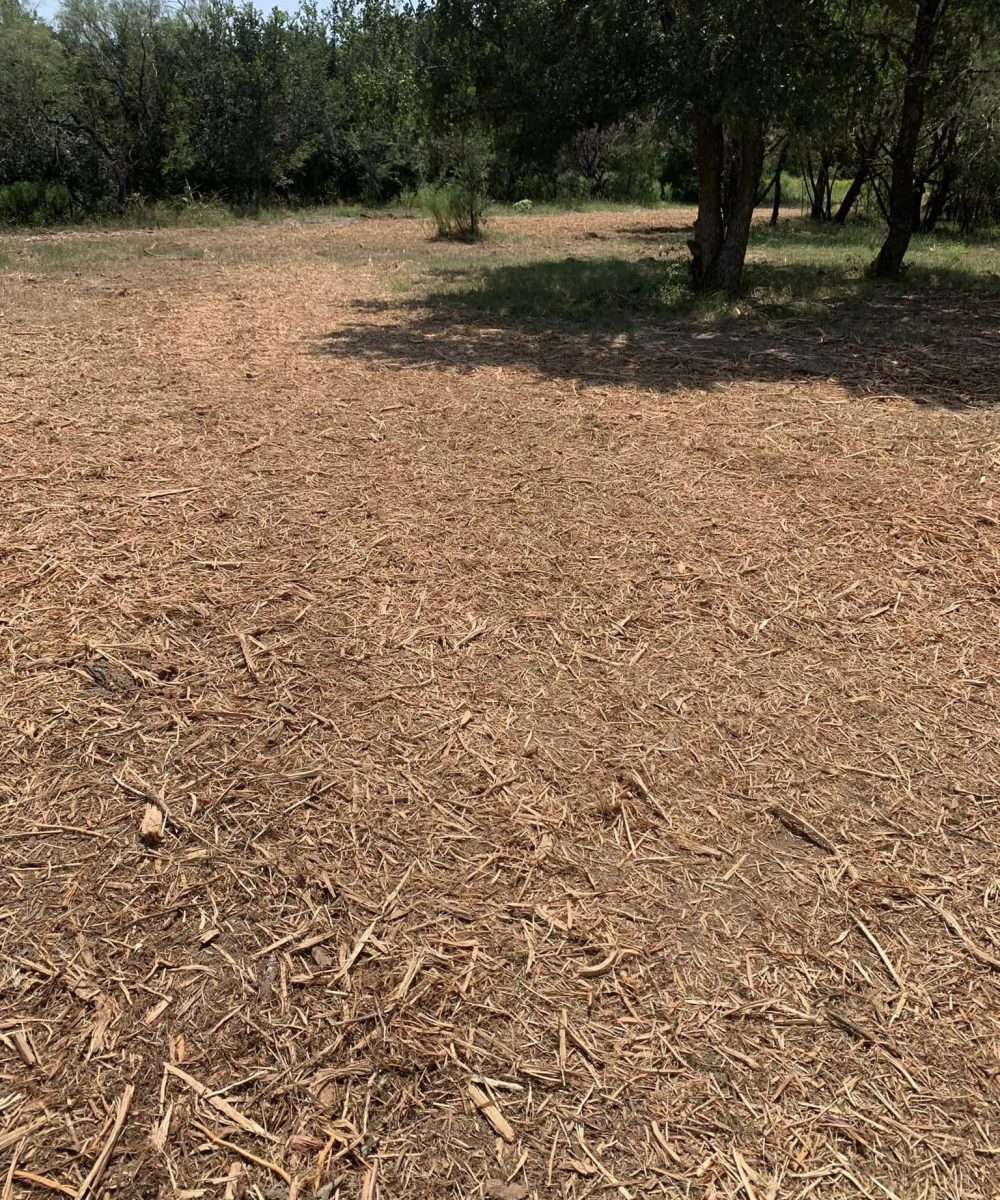 mulching project completed through land clearing & forestry mulching Gatesville TX